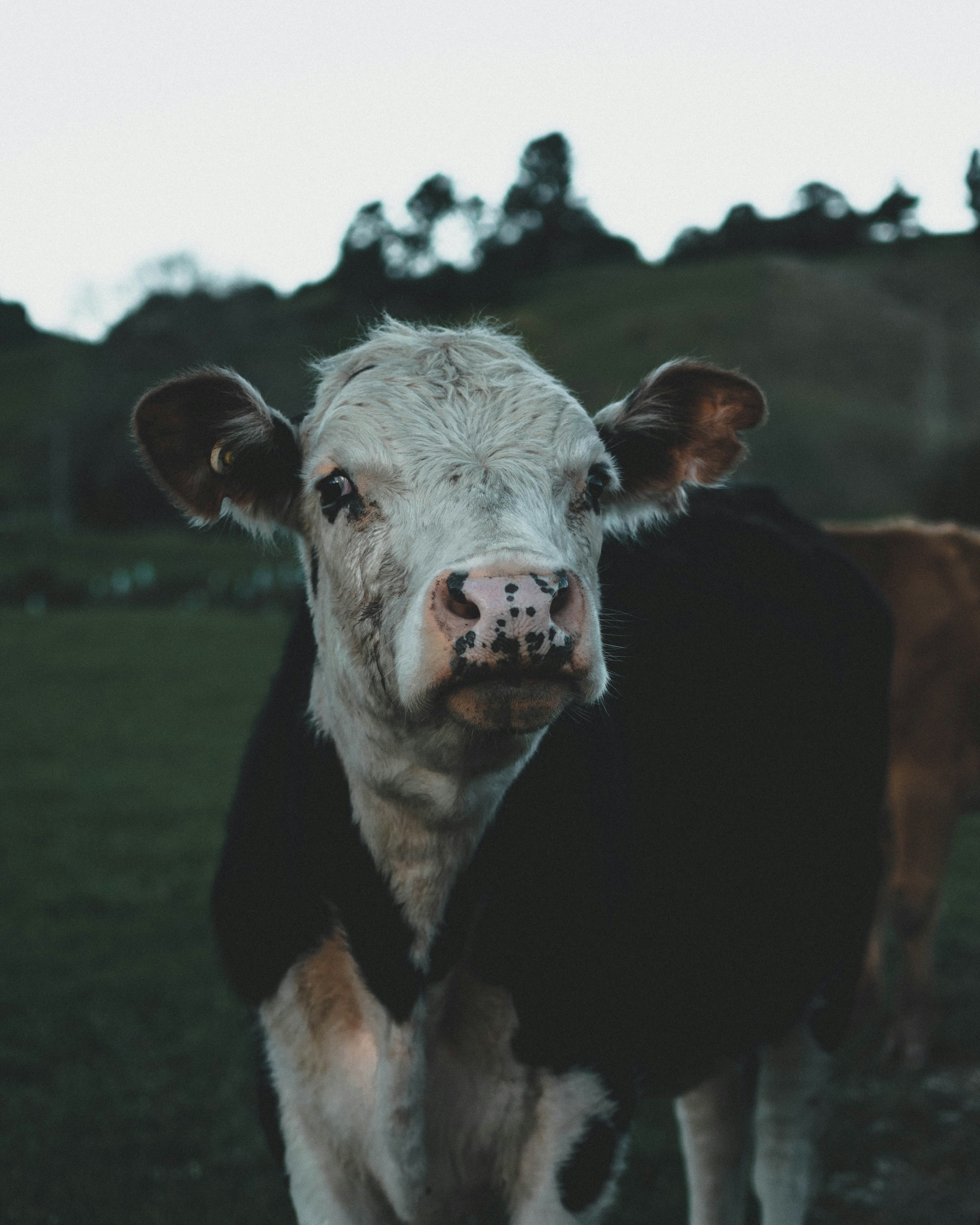 Photo by josiahfarrow