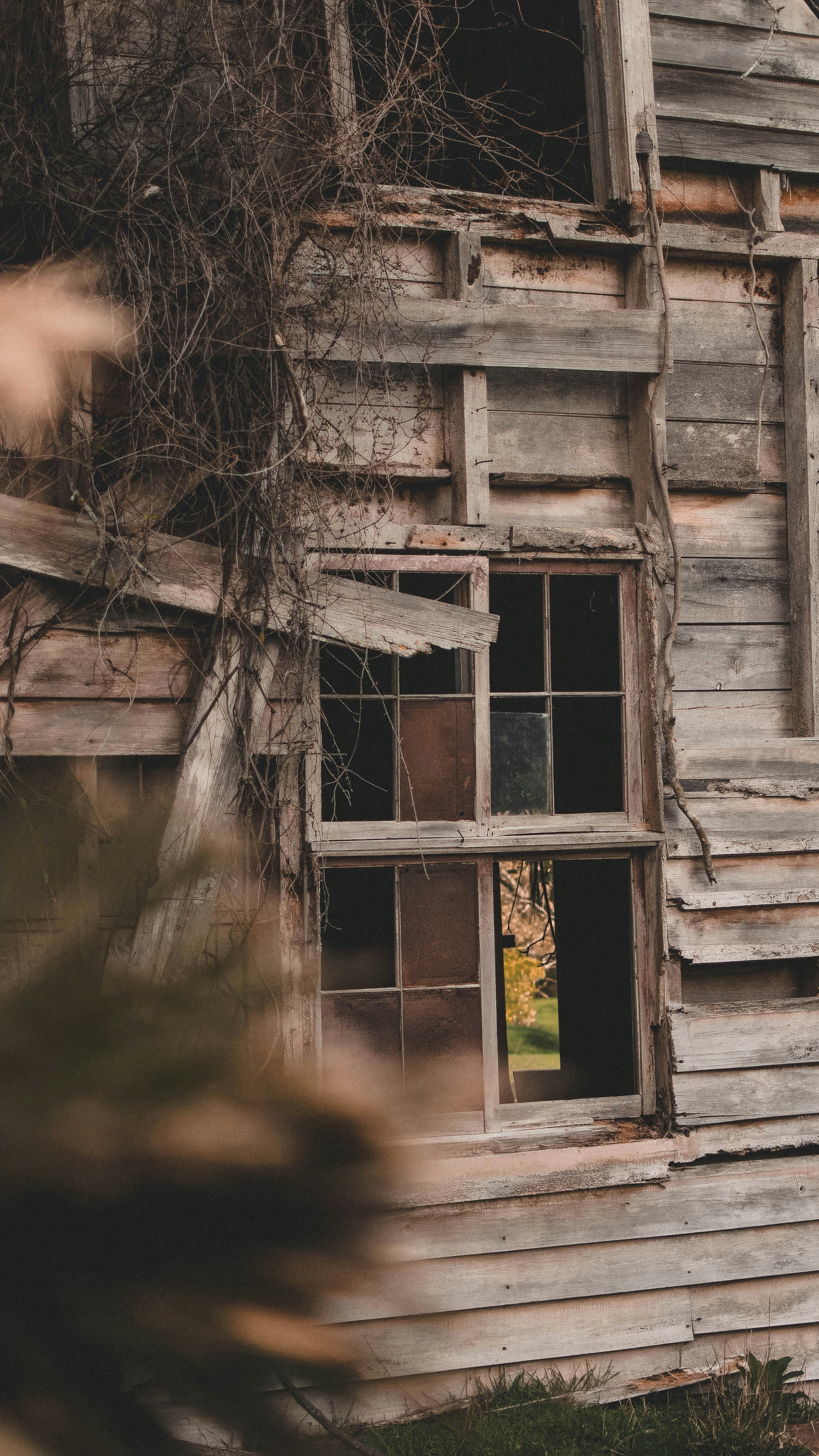 Photo by josiahfarrow