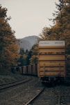 yellow train surrounded by trees