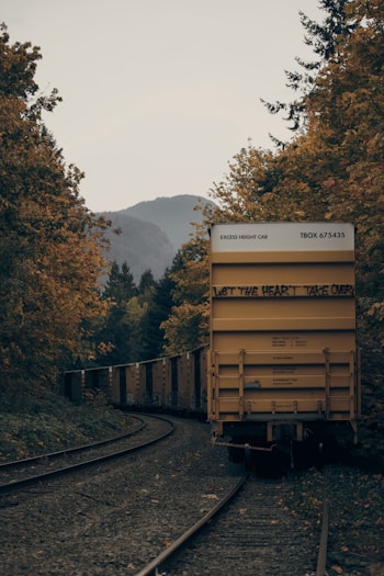 yellow train surrounded by trees