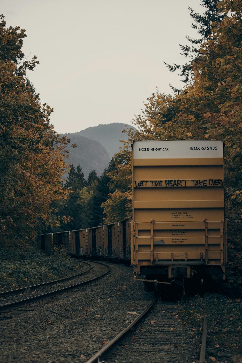 yellow train surrounded by trees