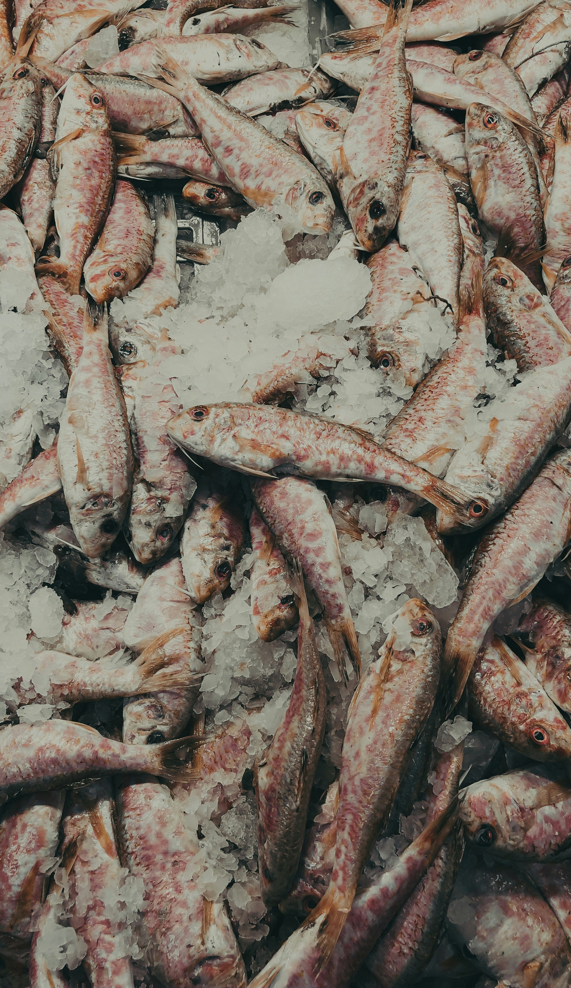 Photo by mindistrict