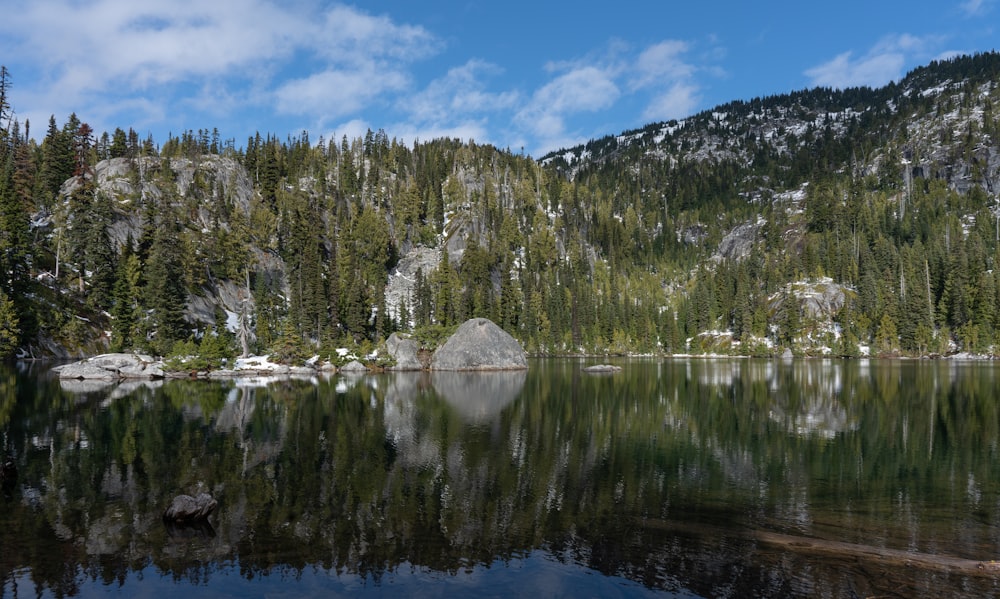 lake surrounded by trees