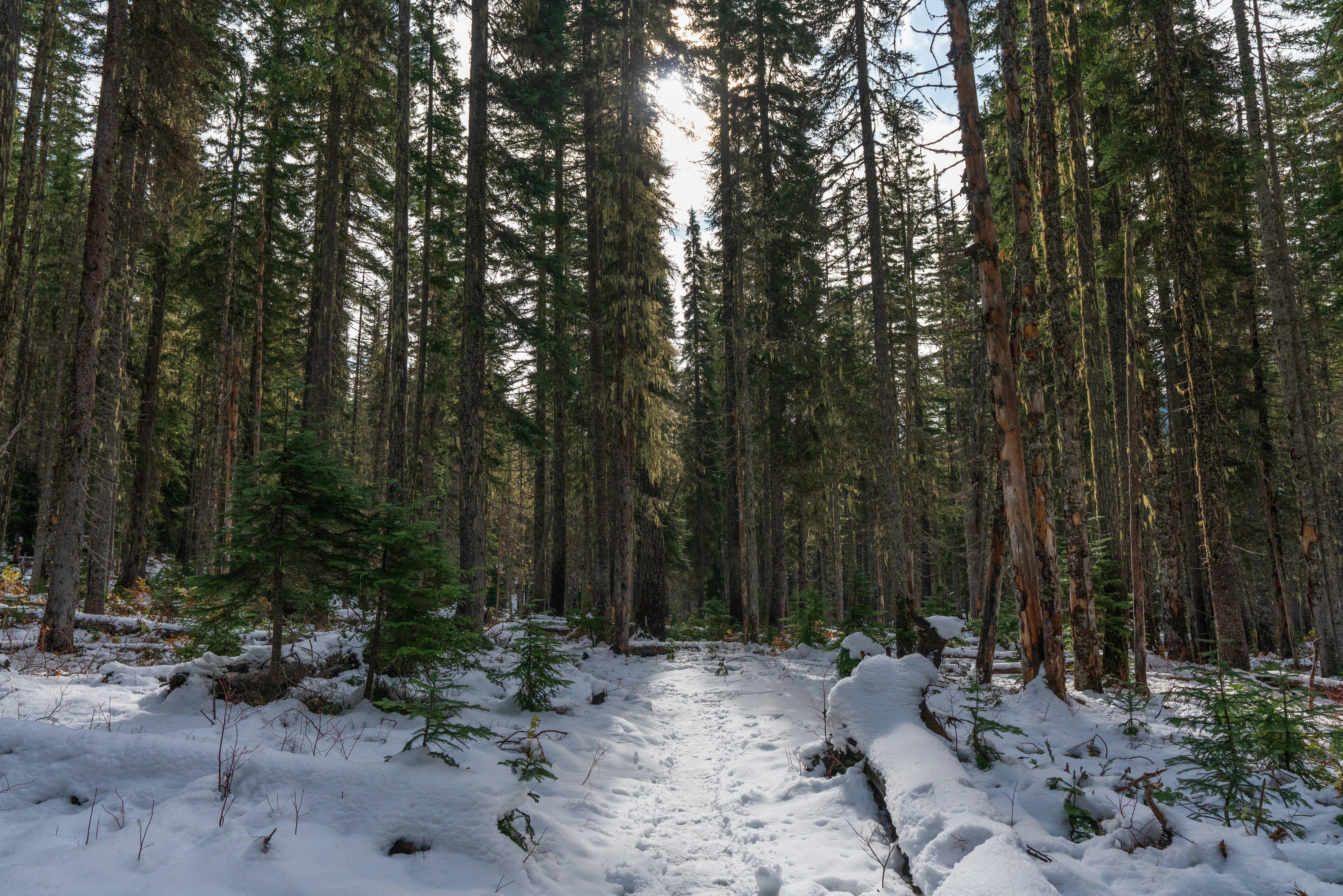 Photo by erikringsmuth