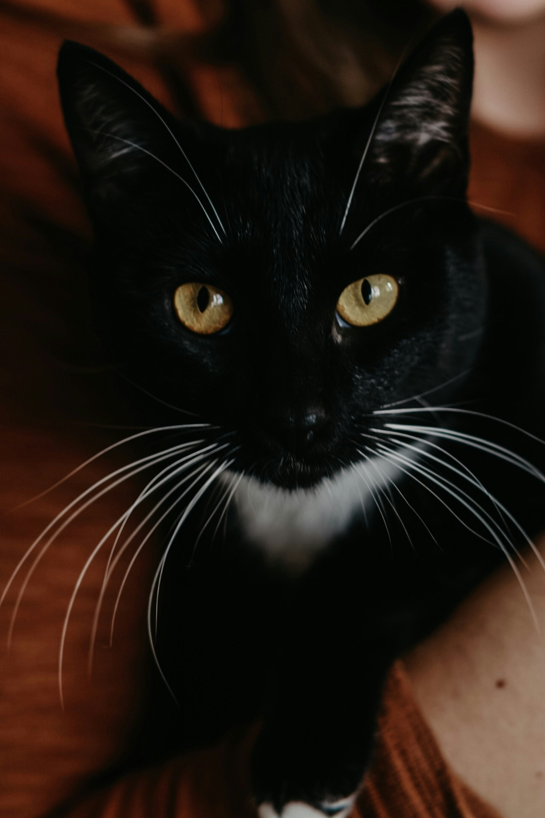 Photo by keylabarraza