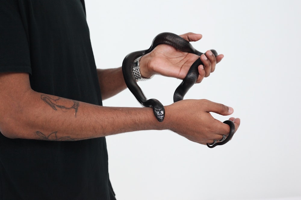 person holds black snake