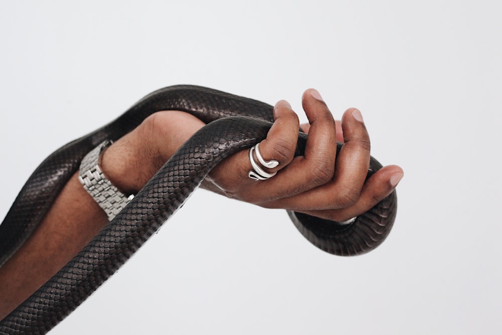 serpent en cuir noir