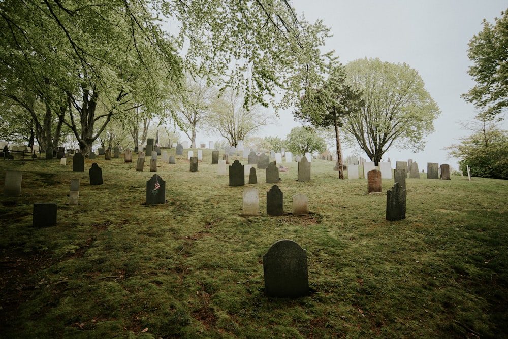 cemetery during day