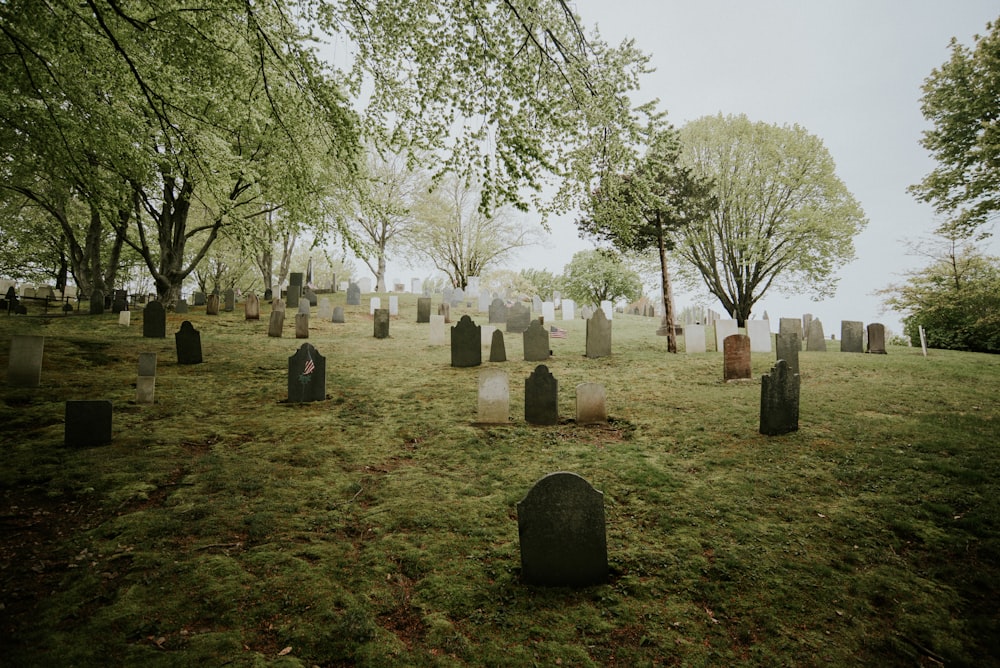 cimitero durante il giorno
