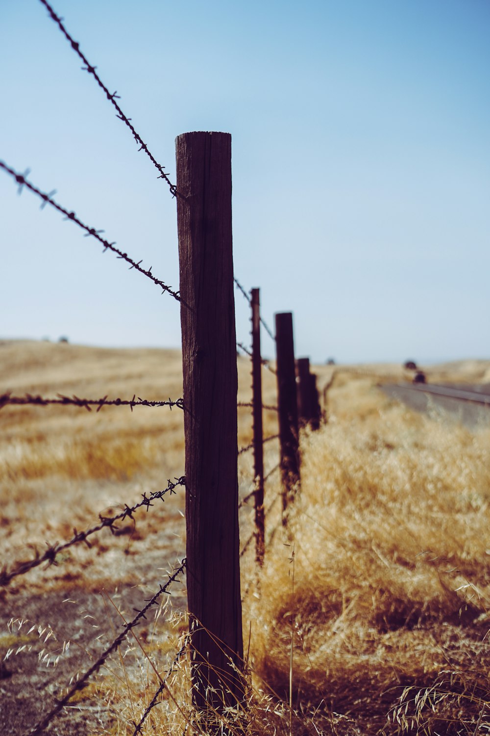 barbwire fence