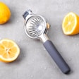 gray fruit juicer