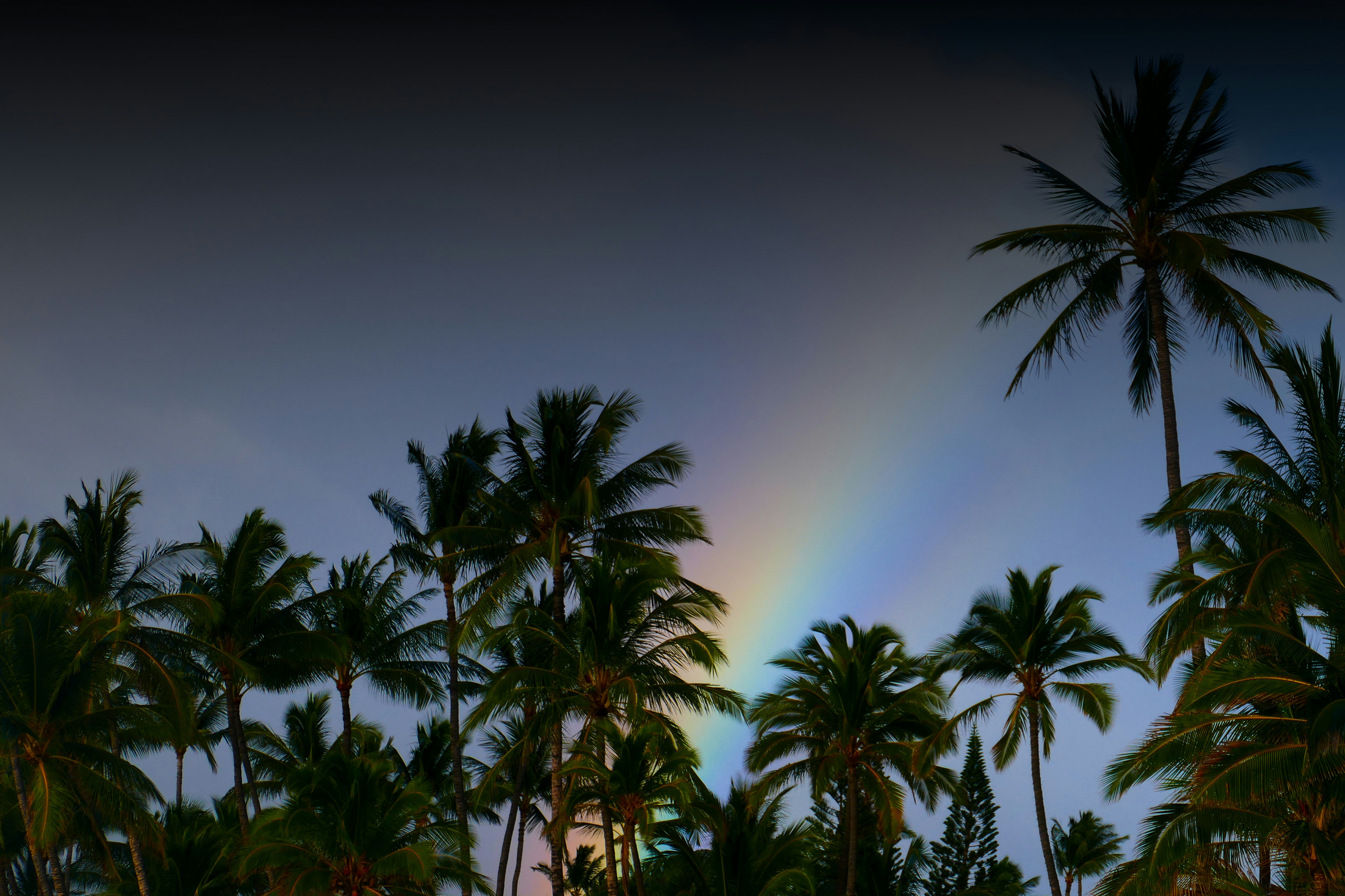 Hawaiian Rainbow