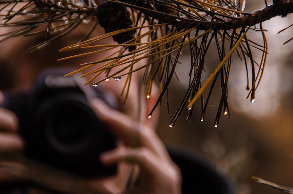 man holding Canon bridge camera