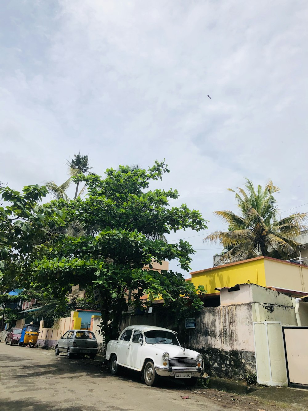 white vehicle parked under tree