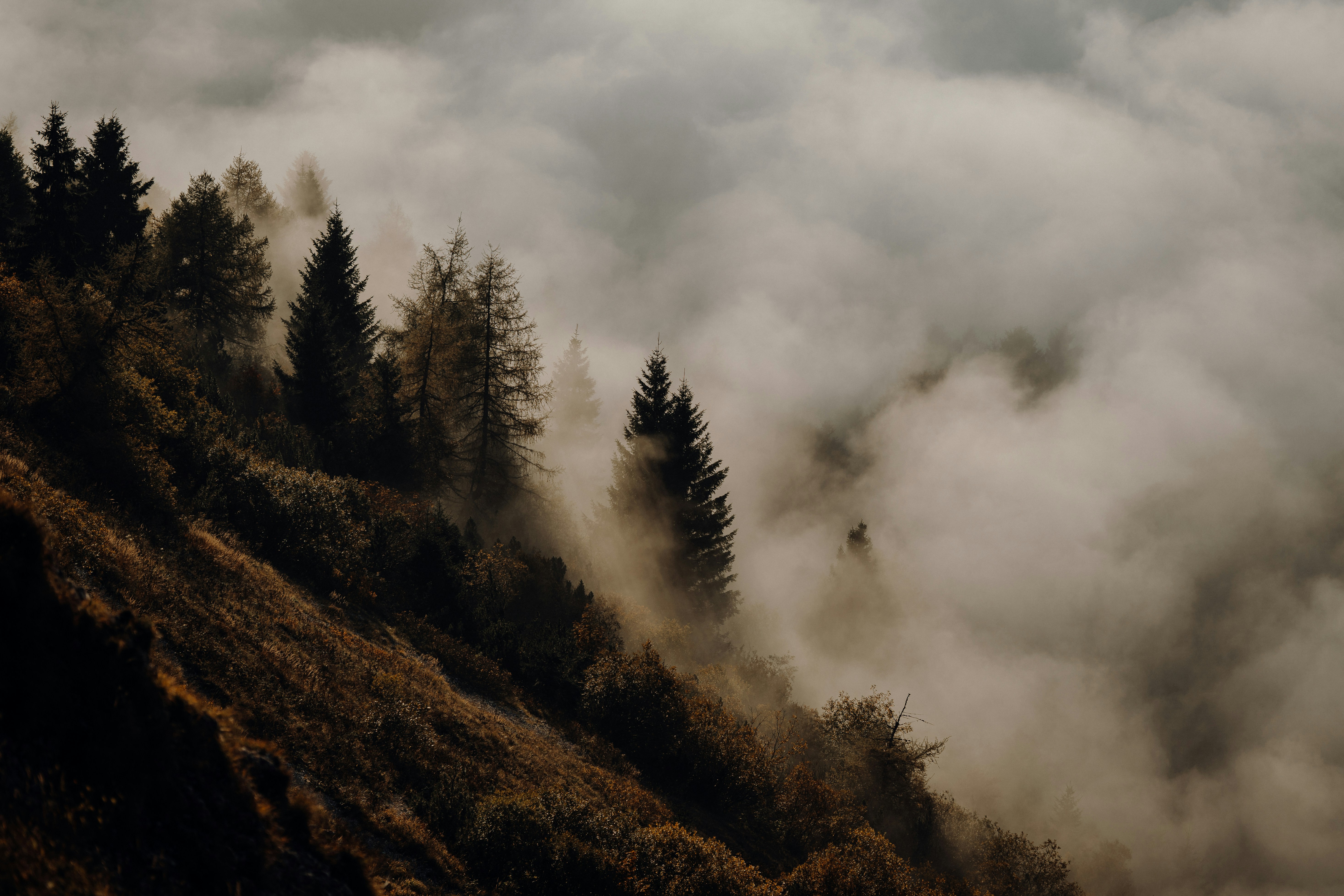 Photo by silvestrimatteo