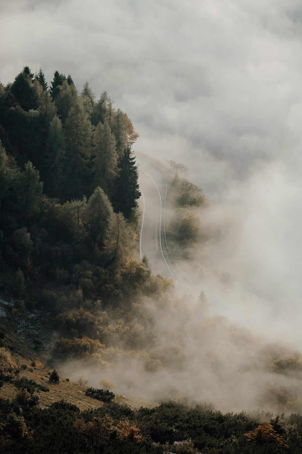 mountain covered with green leafed trees