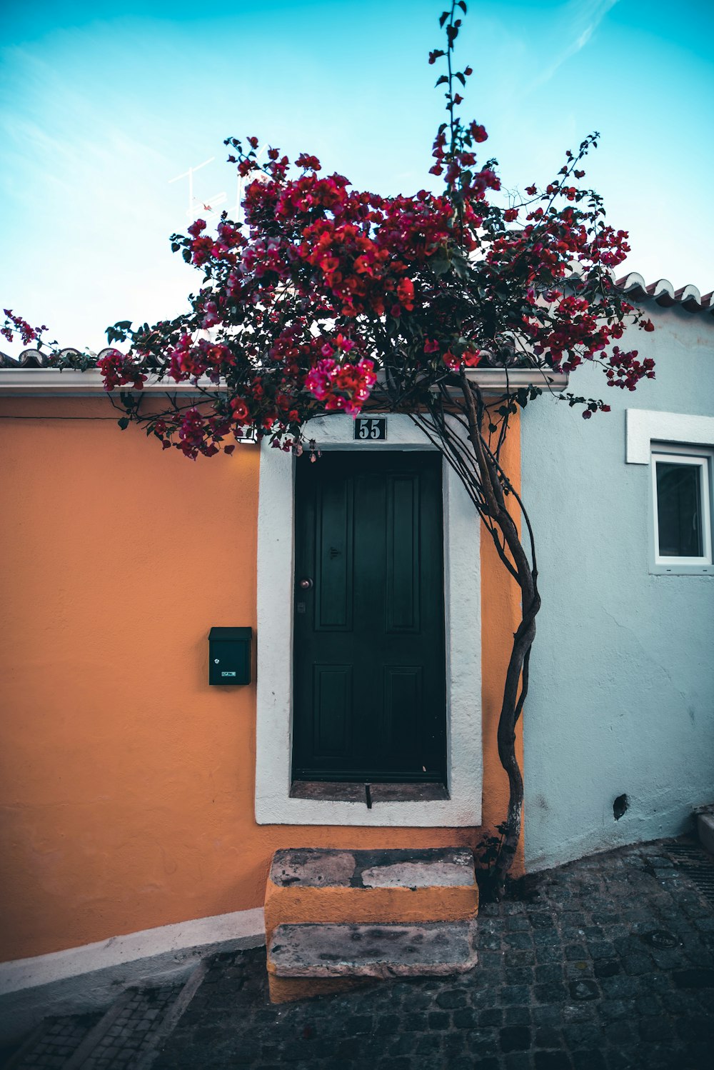 red flowers in front of house