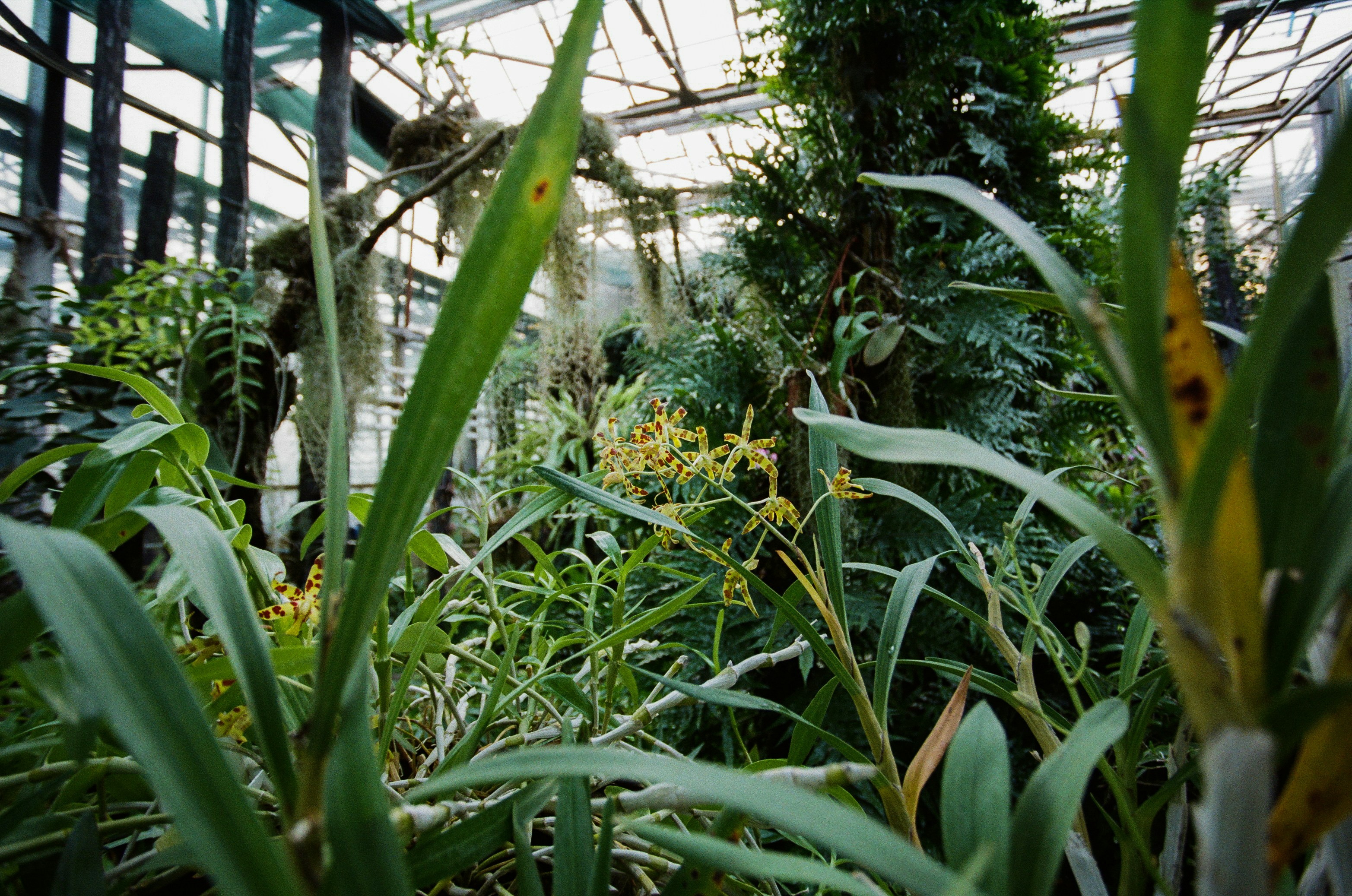 Photo by andrewpetrischev