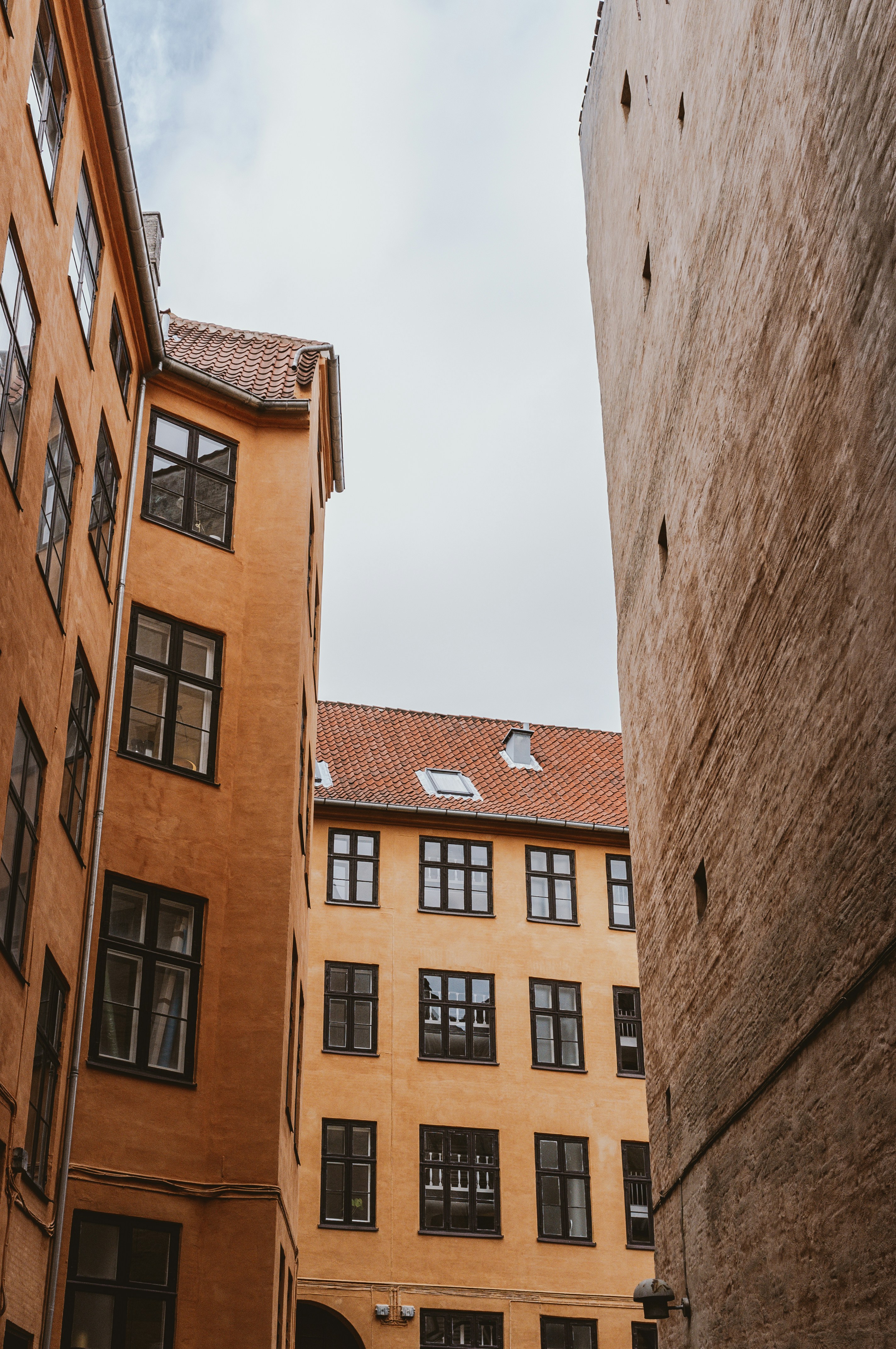 Photo by moisamihai092