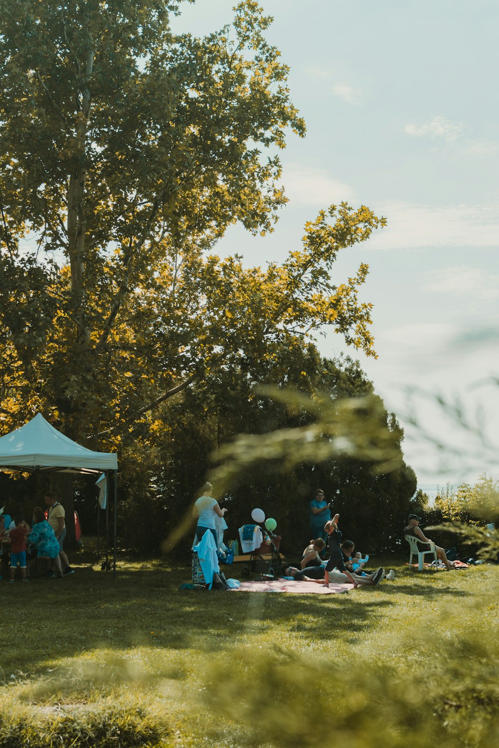 personnes sur l’herbe pendant la journée