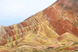 brown hills