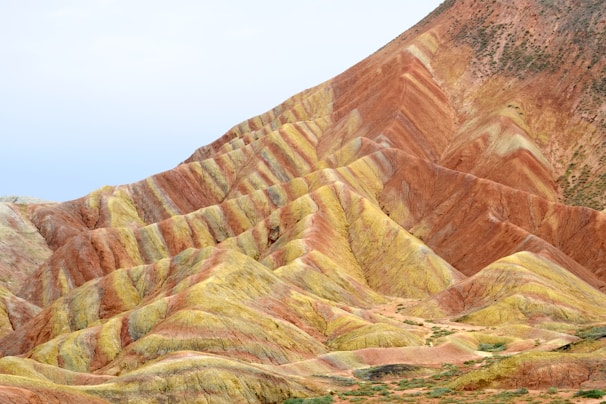 brown hills