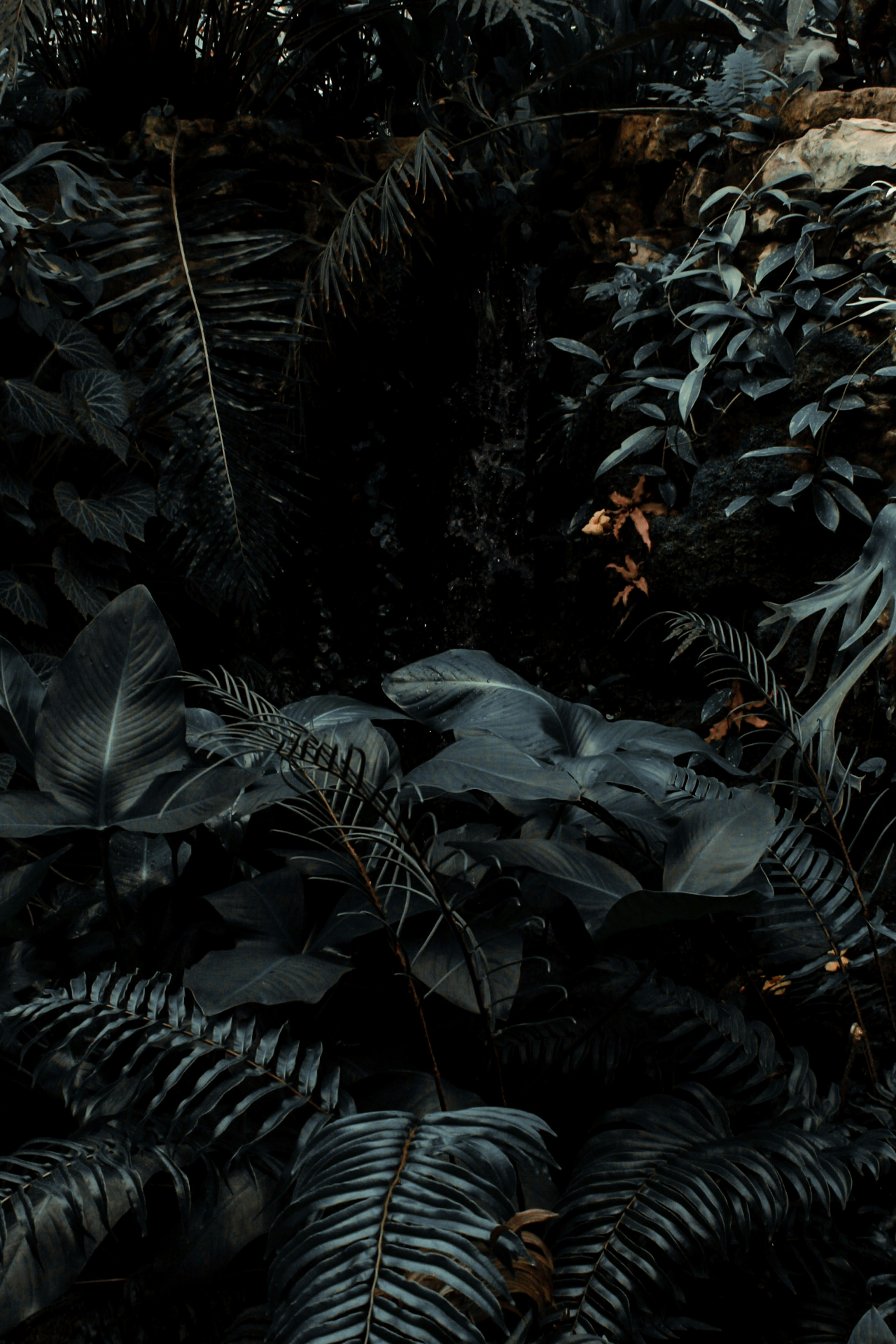 Plants in deep green, mostly leaves