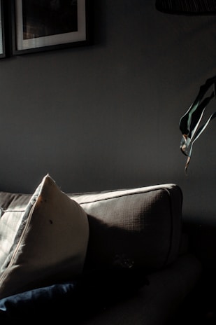 A sunlit living room corner with soft beige cushions, a woven throw, and a small potted plant on a wooden side table.