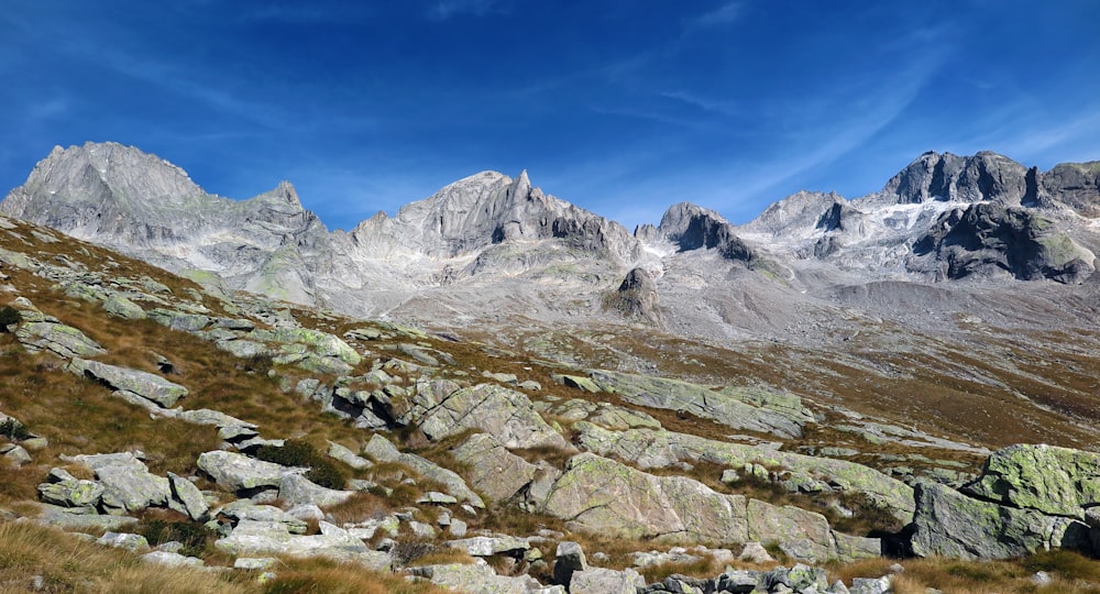 rock formations on ground during daytime