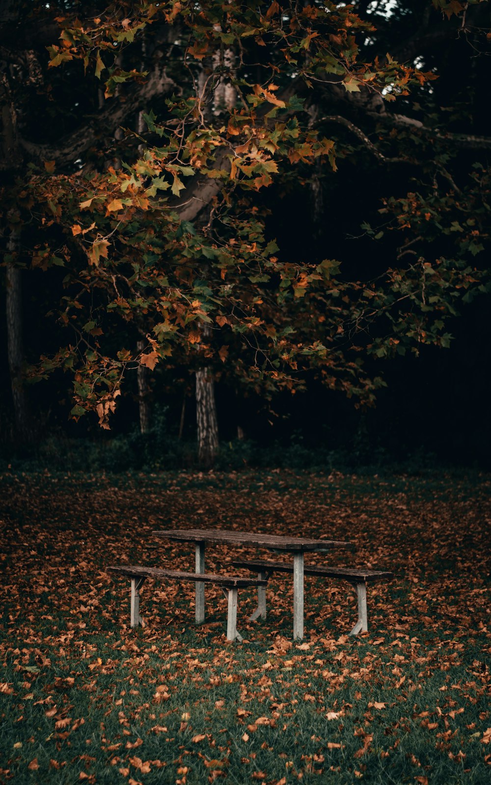 brown table and chairs