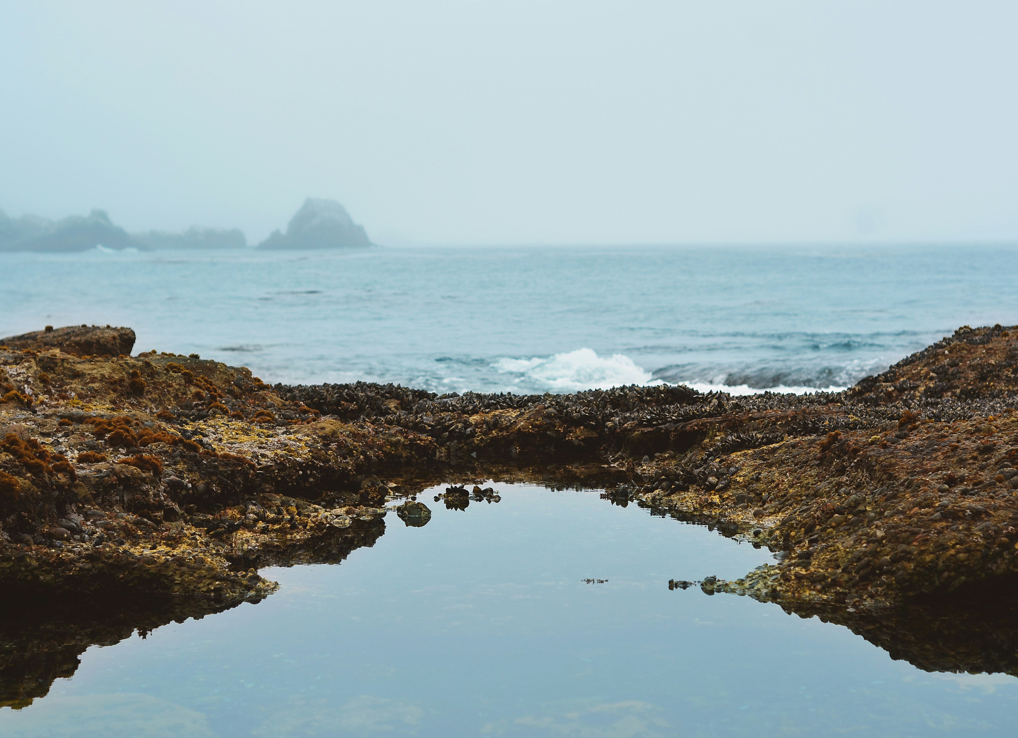 Photo by swasthshishu