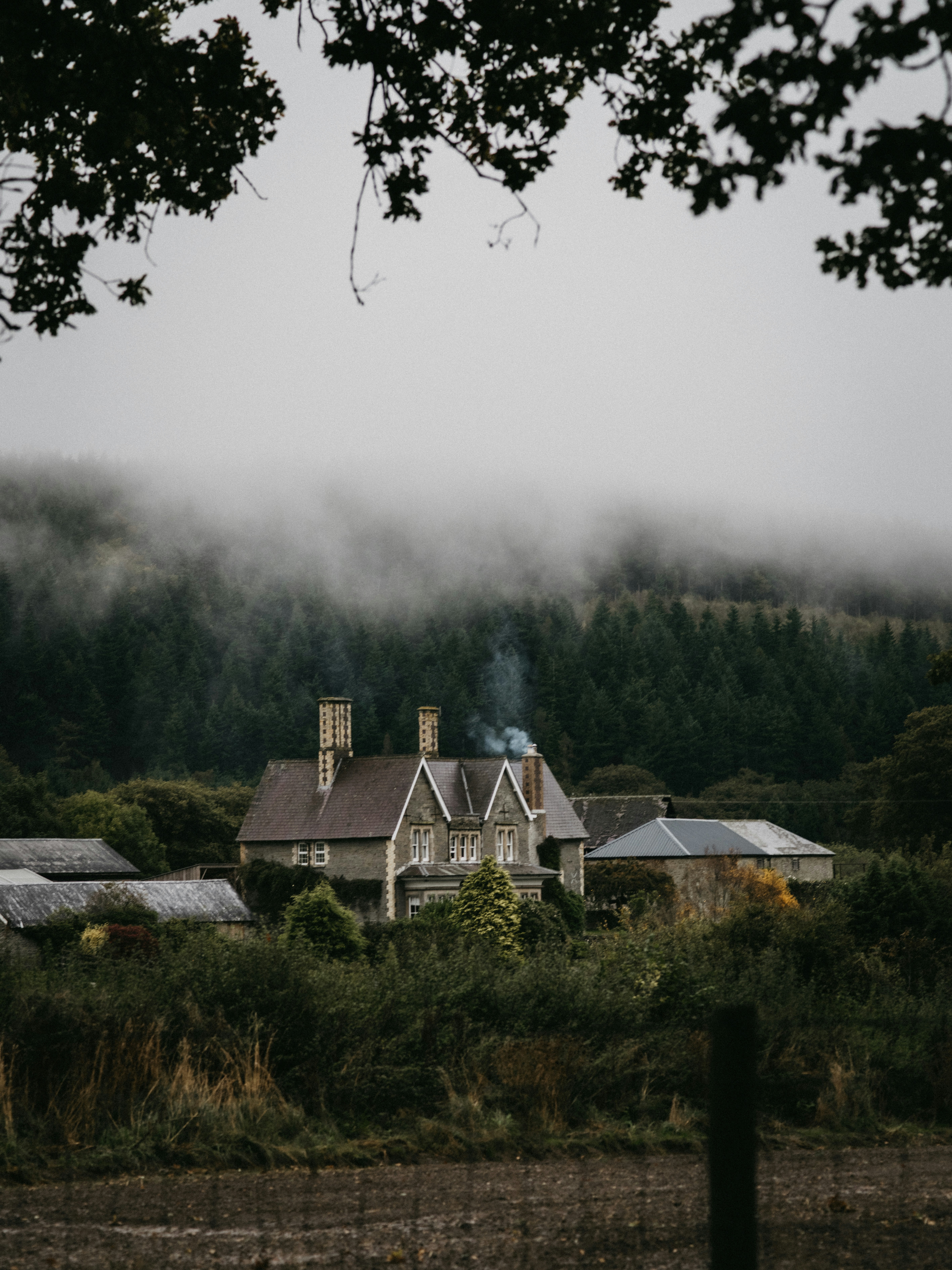 Photo by anniespratt