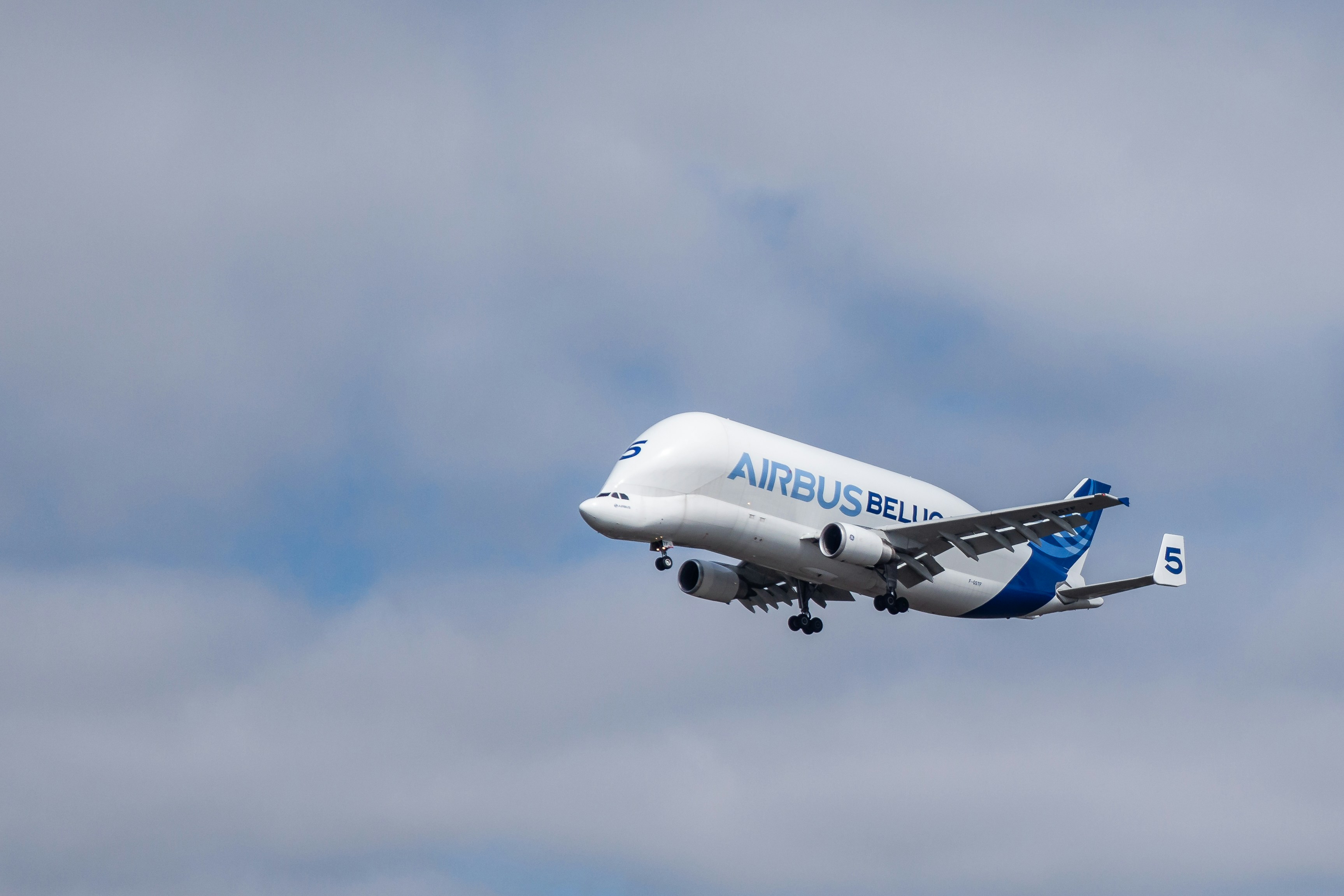 blue and white Airbus airplane, 