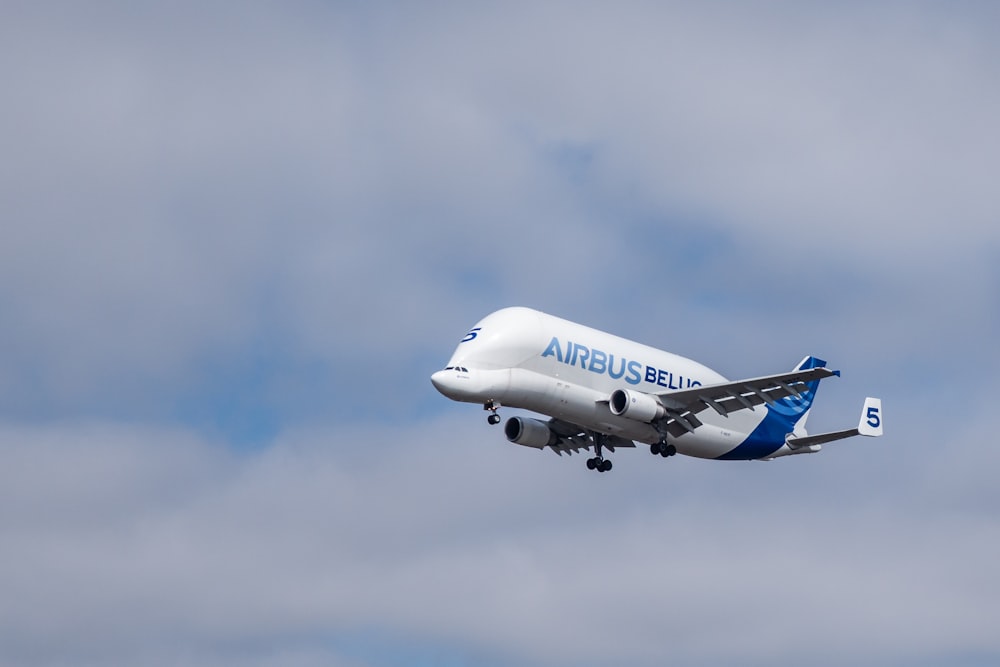 blue and white Airbus airplane