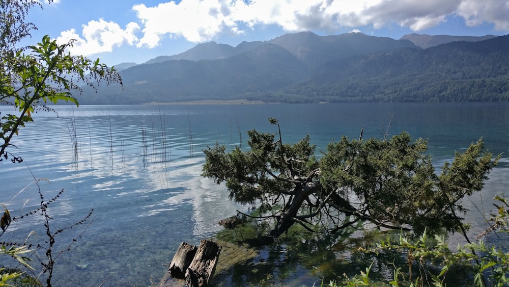 calm water at daytime