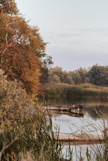 A serene lakeside retreat with a wooden dock stretching into still water framed by autumn foliage.