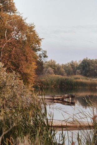 A serene lakeside retreat with a wooden dock stretching into still water framed by autumn foliage.