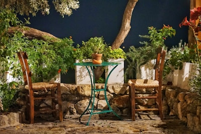 Evening event scene with guests seated comfortably among terracotta pots and greenery.