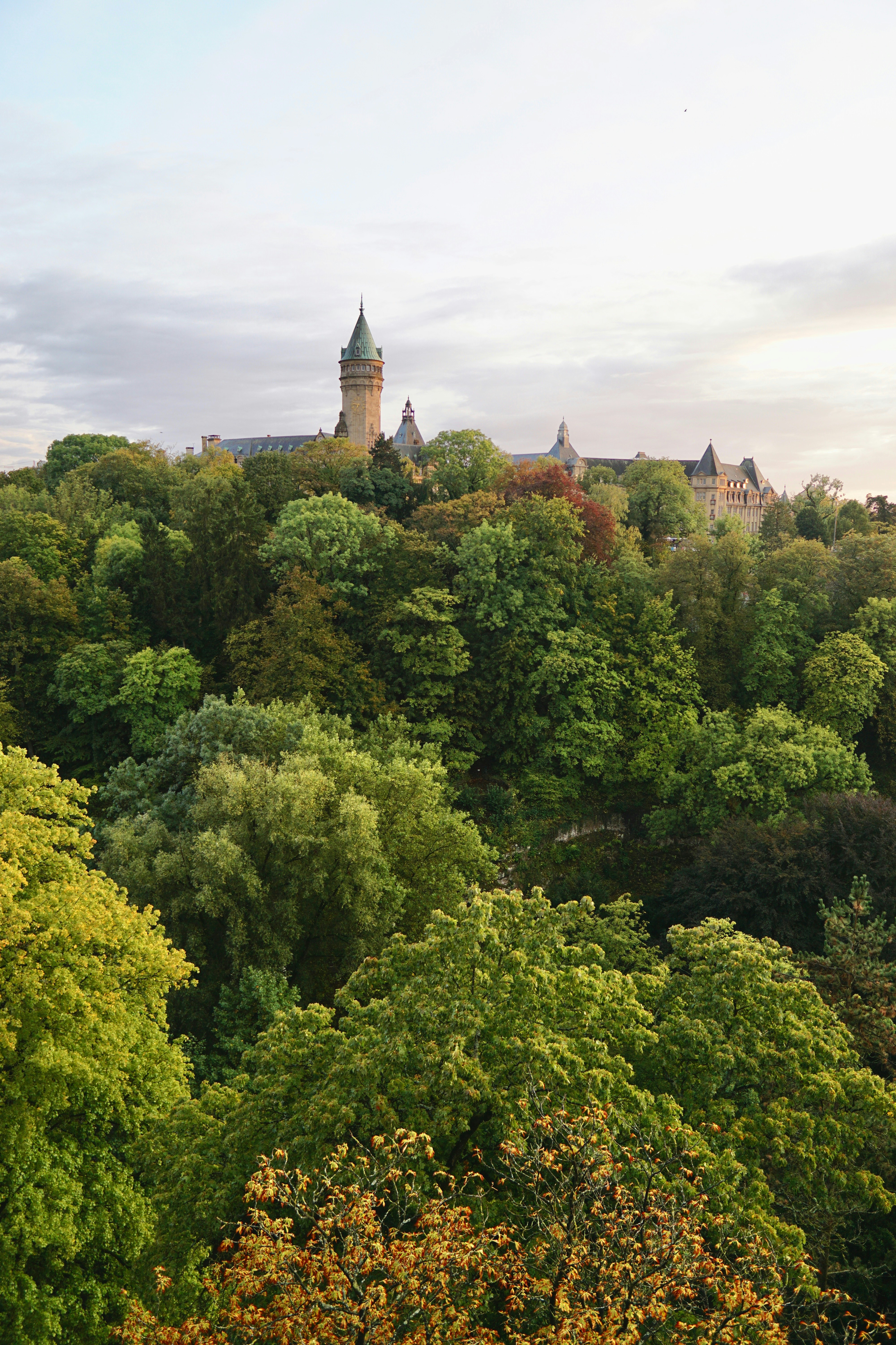 aerial photography of castle surrounded with tall and green trees under white and gray sky during daytime