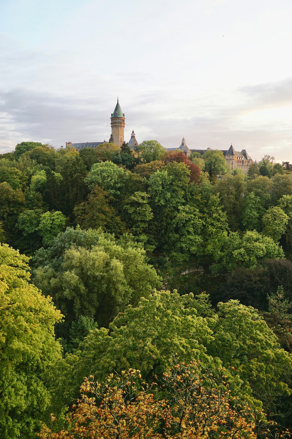 aerial photography of castle surrounded with tall and green trees under white and gray sky during daytime