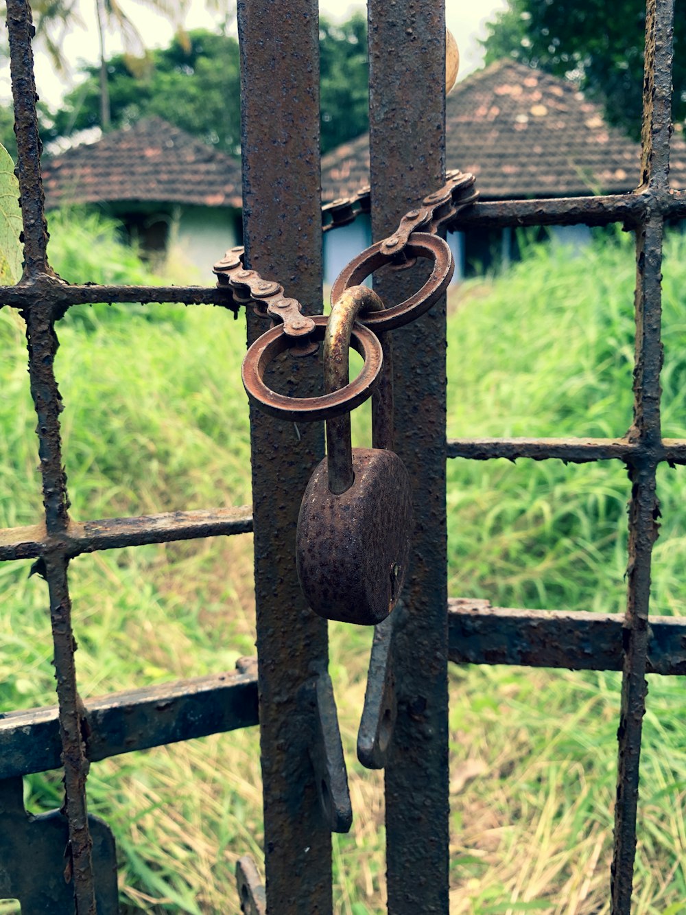padlock black metal gate
