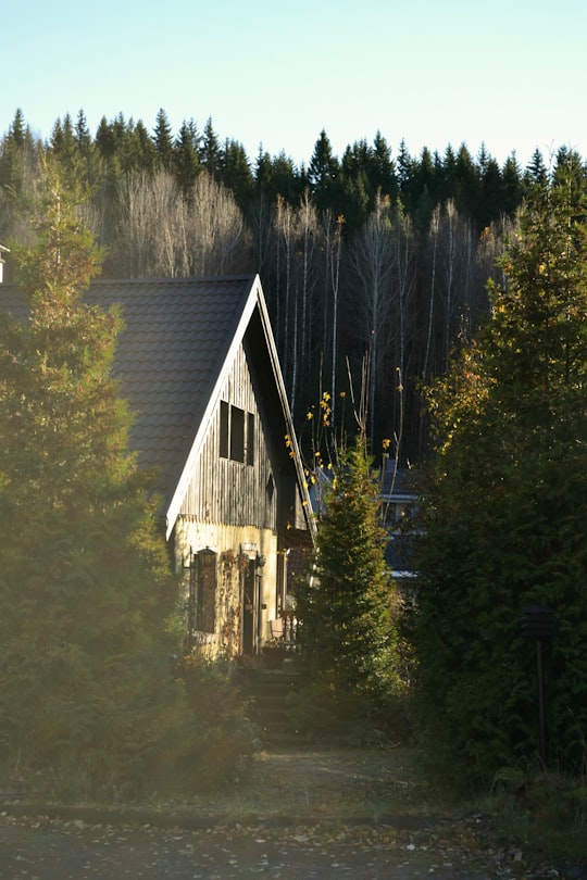 gray wooden house near trees in Jyväskylä Finland