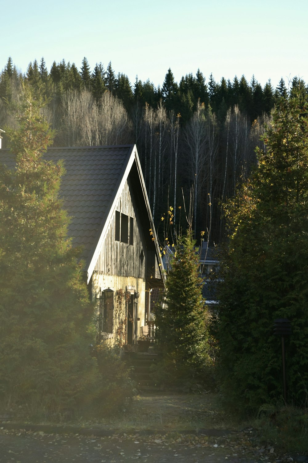 gray wooden house near trees
