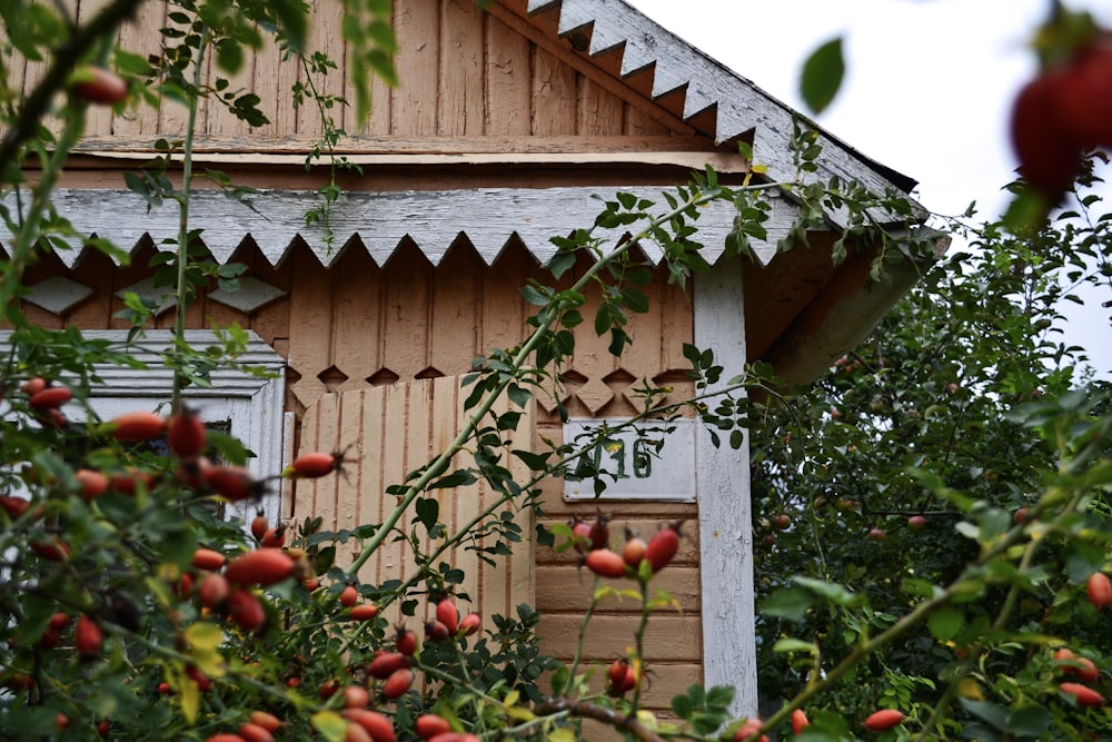 brown wooden house under white sky