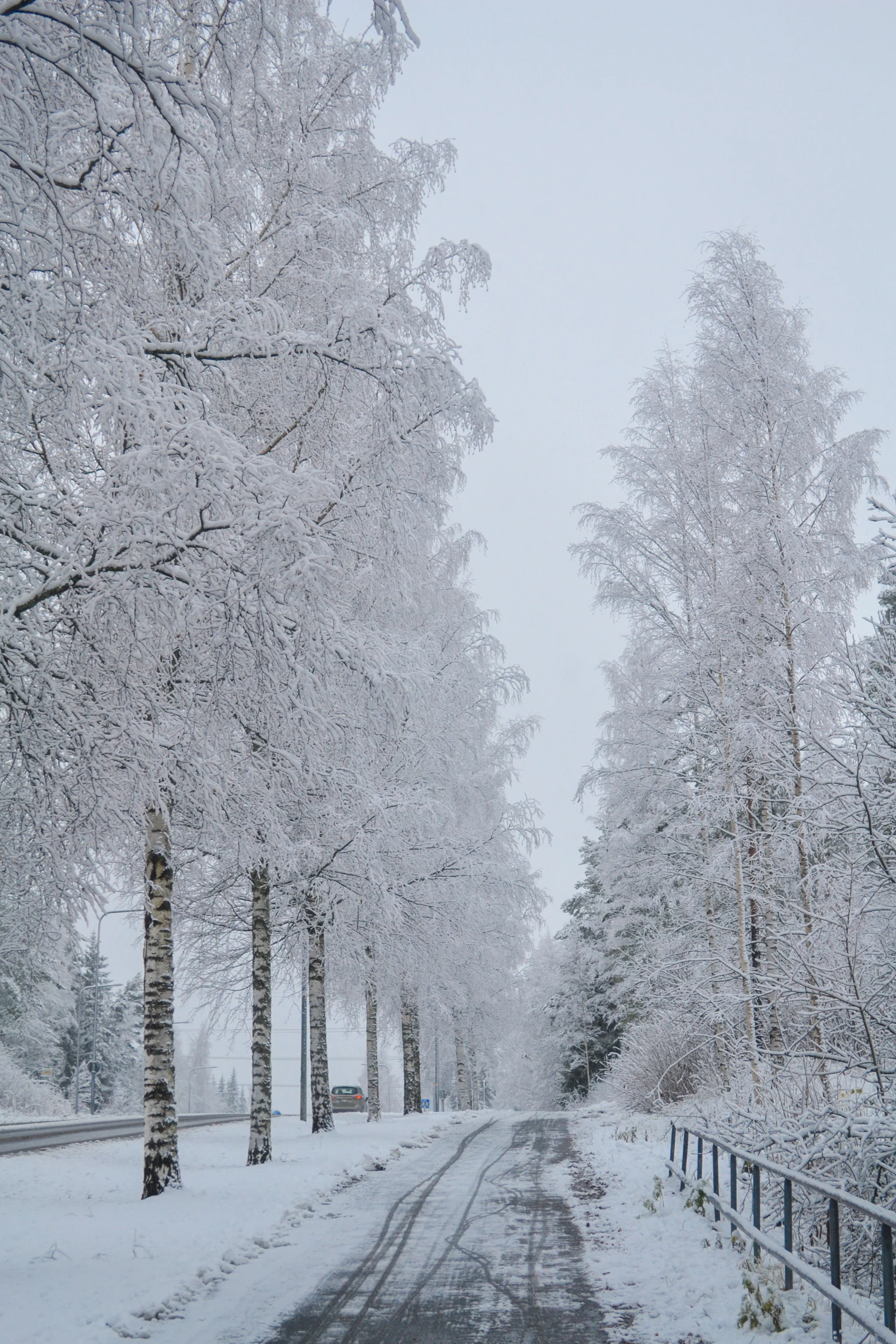 Frost-heavy trees beside a pale winter road in Finland