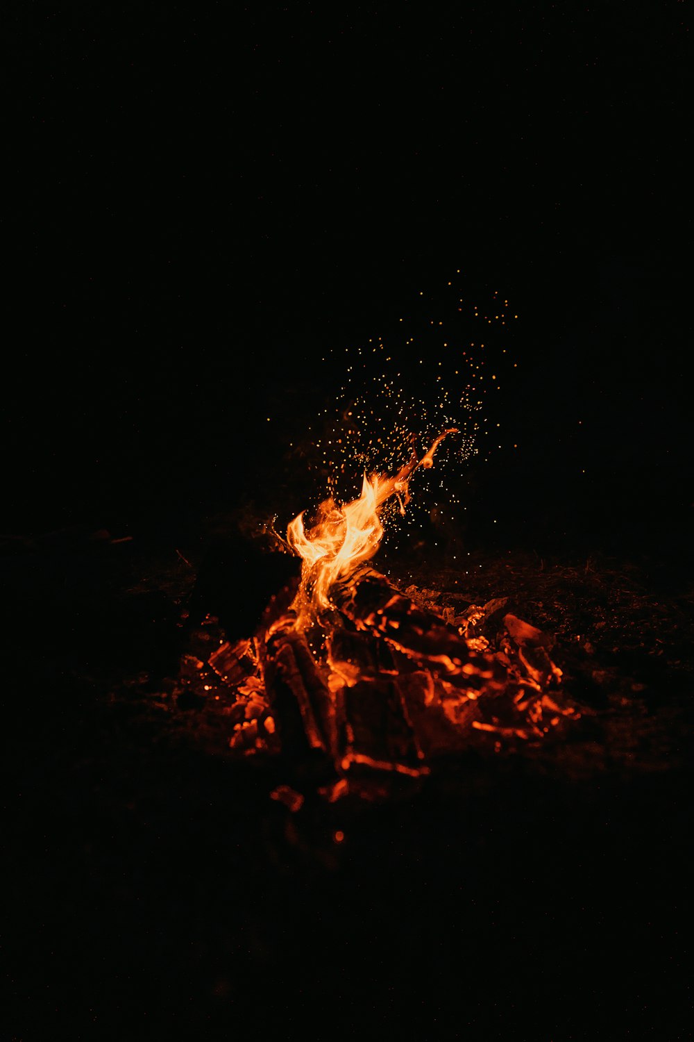 photo of bonfire