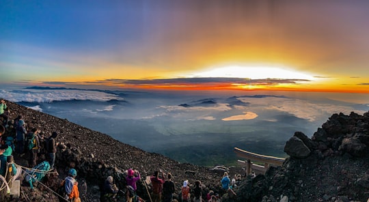 brown and black mountain painting in Mount Fuji Japan