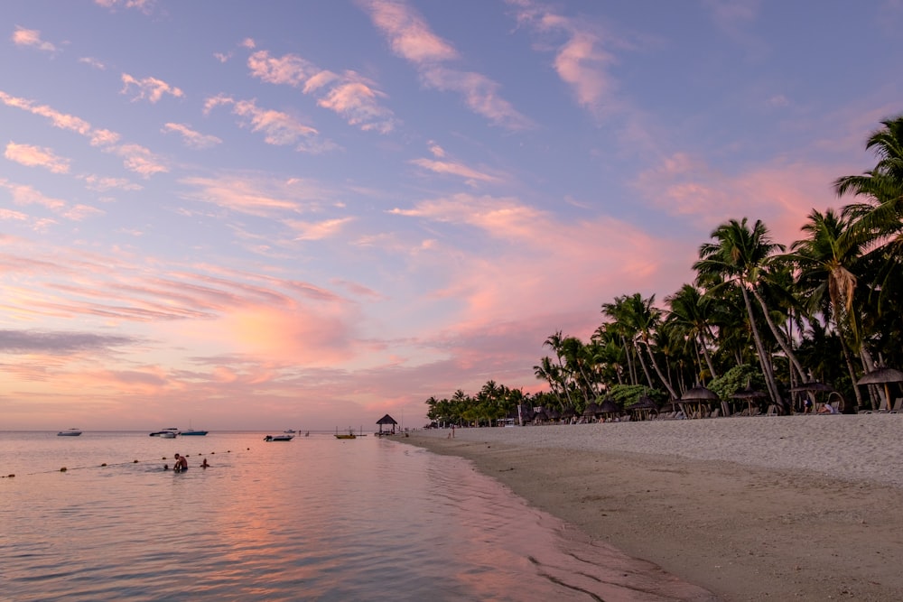 a beach with palm trees and people swimming in the water