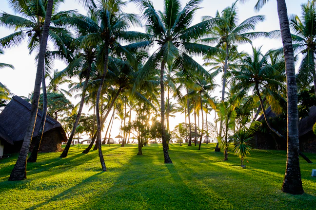 10-Day Mauritius Budget Itinerary | Backpacking Guide