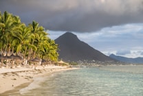 A tropical beach with lush green palm trees lining the shore, accompanied by straw parasols and lounge chairs. In the background, a large mountain rises dramatically against a sky filled with dark clouds. The turquoise water gently laps at the sandy beach, creating a serene coastal scene.